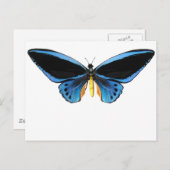 Birdwing Butterfly Postkarte (Vorne/Hinten)