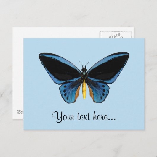Birdwing Butterfly Postkarte (Vorne/Hinten)