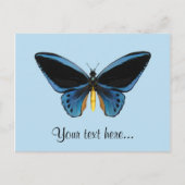 Birdwing Butterfly Postkarte (Vorderseite)
