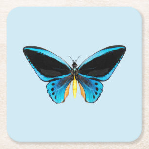 Birdwing Butterfly Rechteckiger Pappuntersetzer