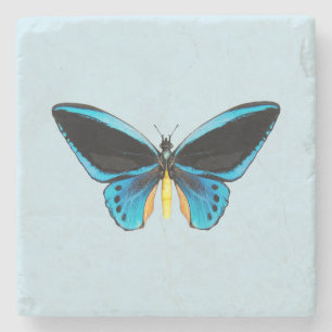 Birdwing Butterfly Steinuntersetzer