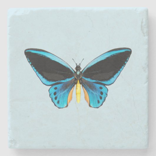 Birdwing Butterfly Steinuntersetzer (Vorderseite)