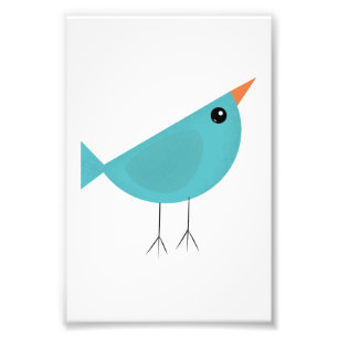 Birdy Fotodruck