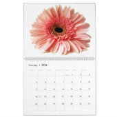 Birdy  kalender (Jan 2026)