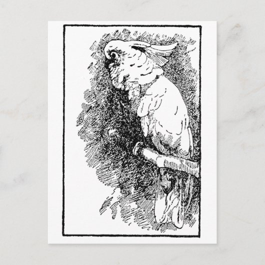 Birdy Postkarte (Vorderseite)
