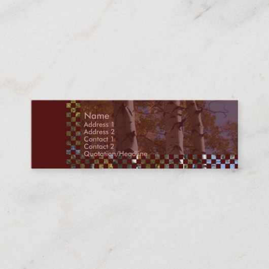 Birgs Business Card Mini Visitenkarte (Vorderseite)