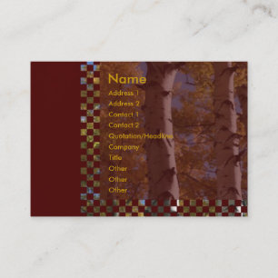 Birgs Business Card Visitenkarte