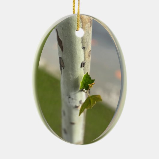 Birke am Straßenrand Keramik Ornament (Hinten)