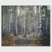 Birke Forrest glattes Packpapier, 30 in x 6 ft Geschenkpapier (Flach)