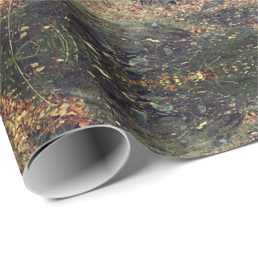 Birke Forrest glattes Packpapier, 30 in x 6 ft Geschenkpapier (Rolleneckpunkt)