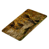 Birke im Herbst Magnet (Linke Seite)