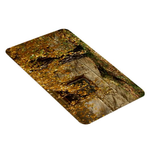 Birke im Herbst Magnet (Rechte Seite)