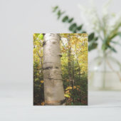 Birke Postkarte (Stehend Vorderseite)