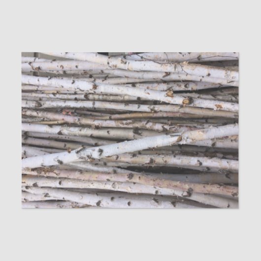 Birke Seidenpapier (Vorderseite)