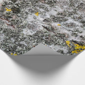 Birke und Flechte Geschenkpapier (Ecke)