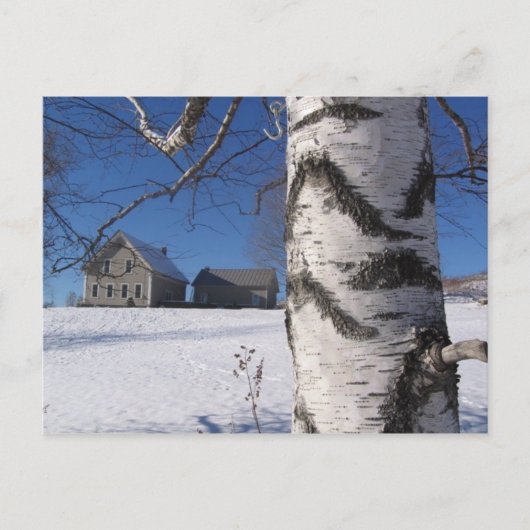 Birke und Zuhause Postkarte (Vorderseite)