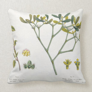 Birke (verlassen) und Mistelzweig (recht), Fig. 9 Kissen