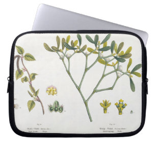 Birke (verlassen) und Mistelzweig (recht), Fig. 9 Laptopschutzhülle