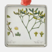 Birke (verlassen) und Mistelzweig (recht), Fig. 9 Silbernes Ornament (Vorne)