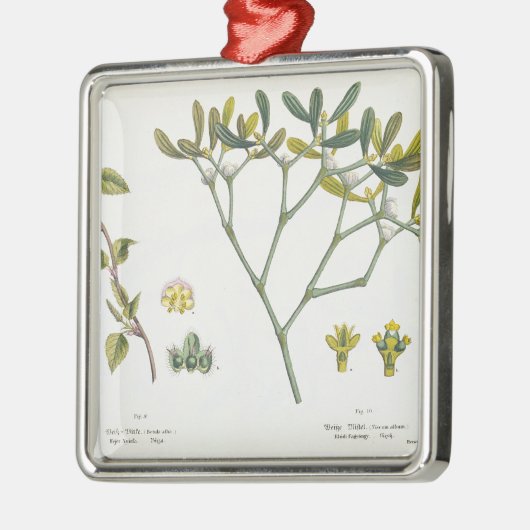 Birke (verlassen) und Mistelzweig (recht), Fig. 9 Silbernes Ornament (Links)