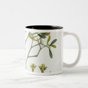 Birke (verlassen) und Mistelzweig (recht), Fig. 9 Zweifarbige Tasse