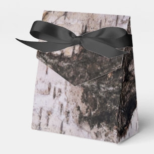 Birken-Barke - hölzernes Beschaffenheitsnatur-Fot Geschenkschachtel