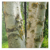 Birken-Baum Fliese (Vorderseite)