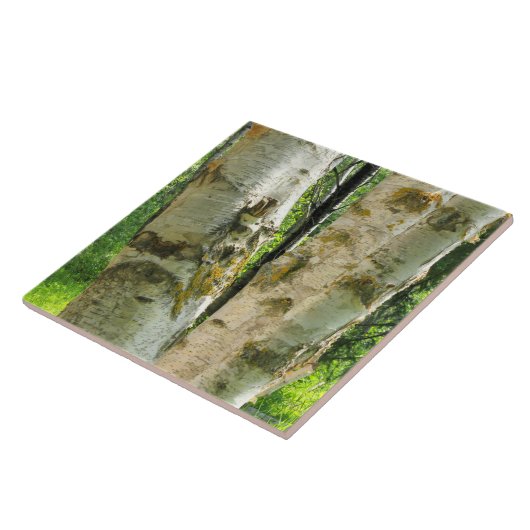 Birken-Baum Fliese (Seite)