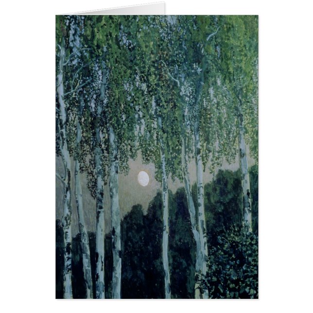 Birken-Bäume (Vorne)
