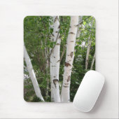 Birken-Bäume Mousepad (Mit Mouse)