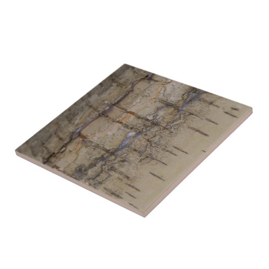 Birken-Baumrinde Fliese (Seite)