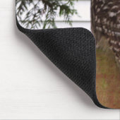 Birken-Bucht-Eule Mousepad (Ecke)