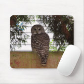 Birken-Bucht-Eule Mousepad (Mit Mouse)