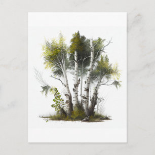 Birken, Die Birken Nordirland Postkarte