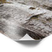 Birken Fotodruck (Ecke)