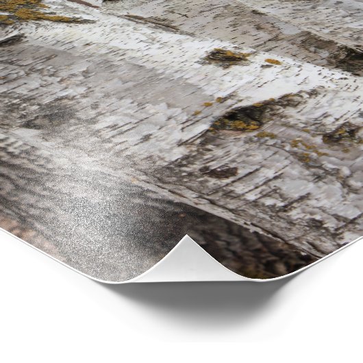 Birken Fotodruck (Ecke)