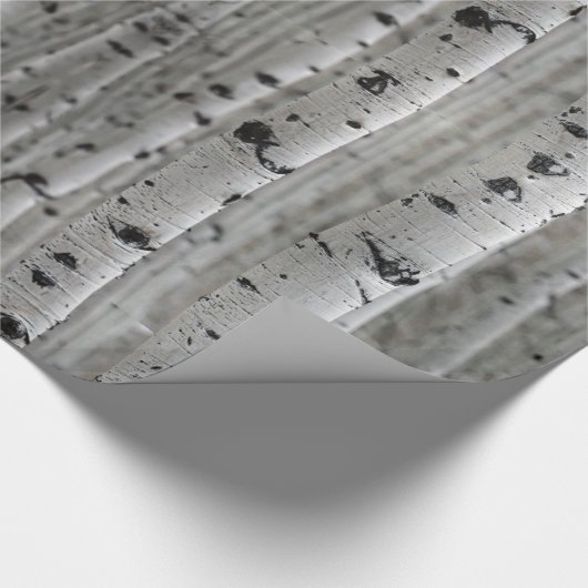 Birken Geschenkpapier (Ecke)