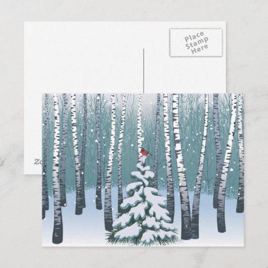 Birken im Winterwald Postkarte (Vorne/Hinten)