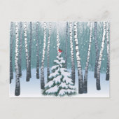 Birken im Winterwald Postkarte (Vorderseite)