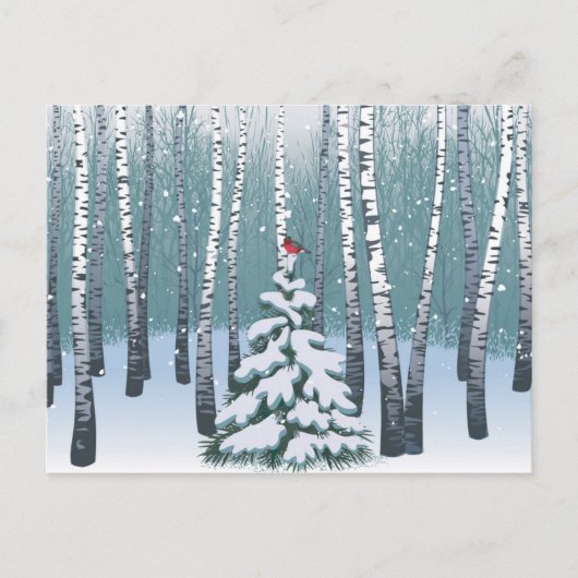 Birken im Winterwald Postkarte (Vorderseite)