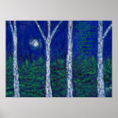 Birken Poster (Vorne)