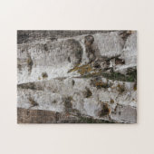 Birken Puzzle (Horizontal)