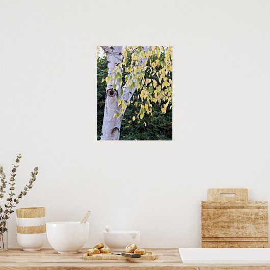 Birkenbaum-Gesicht Natur Poster (Küche)