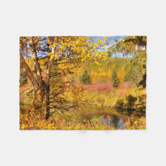 Birkenbaum im Herbst Fleecedecke (Vorderseite (Horizontal))