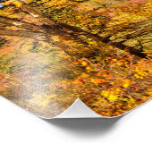 Birkenbaum im Herbst Fotodruck (Ecke)