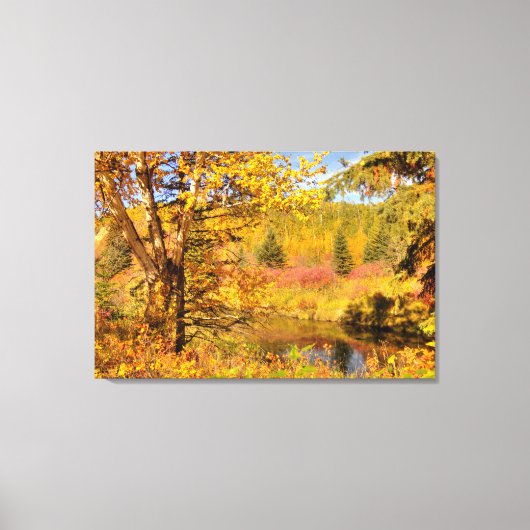 Birkenbaum im Herbst Leinwanddruck (Vorderseite)