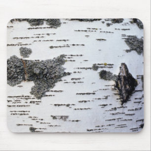 Birkenbaum im Wald, Detail, mit Moos Mousepad