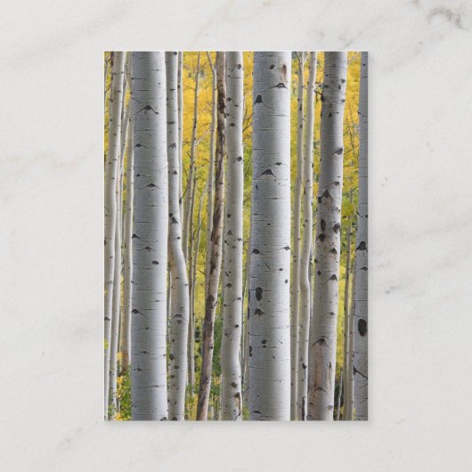 Birkenbaum rustikale Hochzeitskarte Begleitkarte (Rückseite)