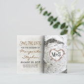 Birkenbaum-Save the Date-Postkarten Ankündigungspostkarte (Stehend Vorderseite)