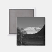 Birkenbaum und Blencathra Magnet (Vorderseite/Rückseite)